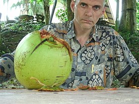 Coconut fight (1)