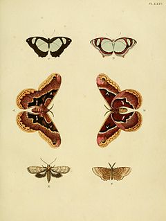 Description de l'image Cramer&Stoll-uitlandsche kapellen vol. 1- plate 075.jpg.