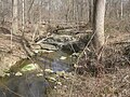 Unnamed stream exposing diabase of Boyds Sill, Hoyles Mill Trail, Montgomery County, Maryland