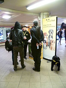 Fundraising in Leicester Square tube station Dogs Trust fund raising Leicester Square tube station.JPG