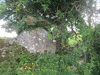 Portal Tomb von Drumany