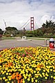 Flowers in the foreground of the Golden Gate Bridge.