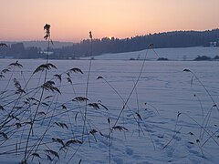 Coucher de soleil sur le lac gelé recouvert de neige.