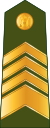 Latvia-Army-OR-9.svg