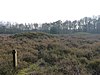 Terrein waarin twee grafheuvels en urnenveld