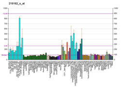 PBB GE MRPL11 219162 s at fs.png