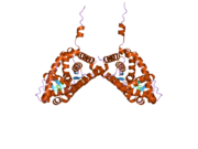 2aa6​: S810L mutant mineralokortikoidnog receptora sa vezanim progesteronom