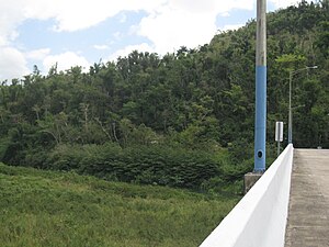 PR-642 bridge over the Río Grande de Manatí