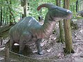 Parasaurolophus