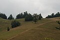 Crkva na Kneževom polju, panorama