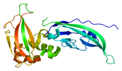 Protein DAG1 PDB 1u2c.png