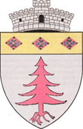 Wappen von Ocoliș (Alba)