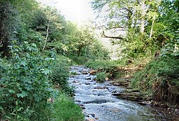 River Valency at Newmills - geograph.org.uk - 437373.jpg