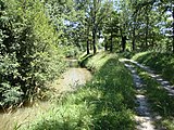 La rigole de la Plaine (canal du Midi).