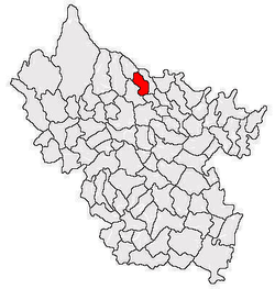 Location of Sărulești