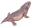 Склерозавр armatus