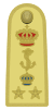 Shoulder boards of ammiraglio designato d'armata of the Regia Marina (1936).svg