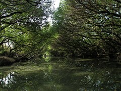 Taijiang National Park