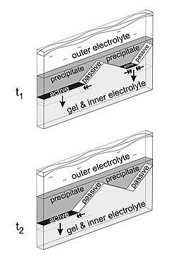 Sequence of formation of macroscopic patterns. Two consecutive snapshots are shown. Dark grey represents the precipitate, light grey the hydrogel with the inner electrolyte, white the semipermeable "passive", while black the traveling "active" borders. Simple arrows indicate the growing (traveling) direction of the active precipitate borders, while double arrows their directions of shrinking.