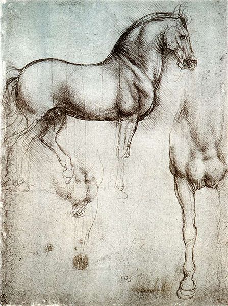 File:Study of horse.jpg