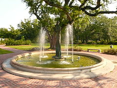 Flautista, en el jardín botánico de Nueva Orleans.[5]​