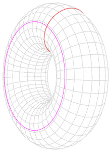 http://upload.wikimedia.org/wikipedia/commons/thumb/5/54/Torus_cycles.png/220px-Torus_cycles.png