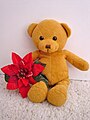 ToyBearwithRedFlower.JPG