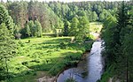 Miniatura per Parc Nacional de Dzūkija