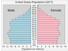 United States Age Pyramid.svg