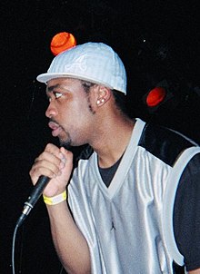 Chipmunk Rapper Wiki