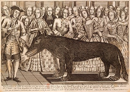 Présentation du loup des Chazes à la cour de Versailles. Coiffé d'un tricorne, Antoine de Beauterne, fils cadet de François Antoine, est représenté à gauche de la gravure. Au centre, Louis XV palpe la bête naturalisée. La reine Marie Leszczynska se tient à la droite du souverain[68]. Gravure publiée chez Mandare[69].