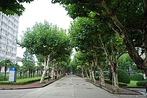 Xuhui Campus