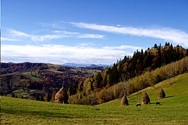 Вижницький національний природний парк