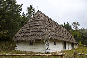 Хата з села Стричава Великоберезнянського району Закарпатської області