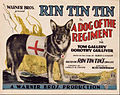 A Dog of the Regiment