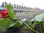 180px-Auschwitz-hope_after_terror.jpg