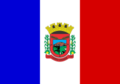 Bandeira de Cerro Grande