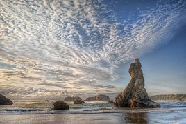 Rochers de la plage de Bandon.