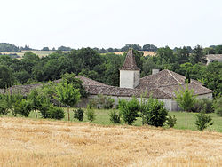 Belvèze ê kéng-sek