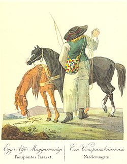Paraszt lovakkal (Bikkessy Heinbucher festménye)