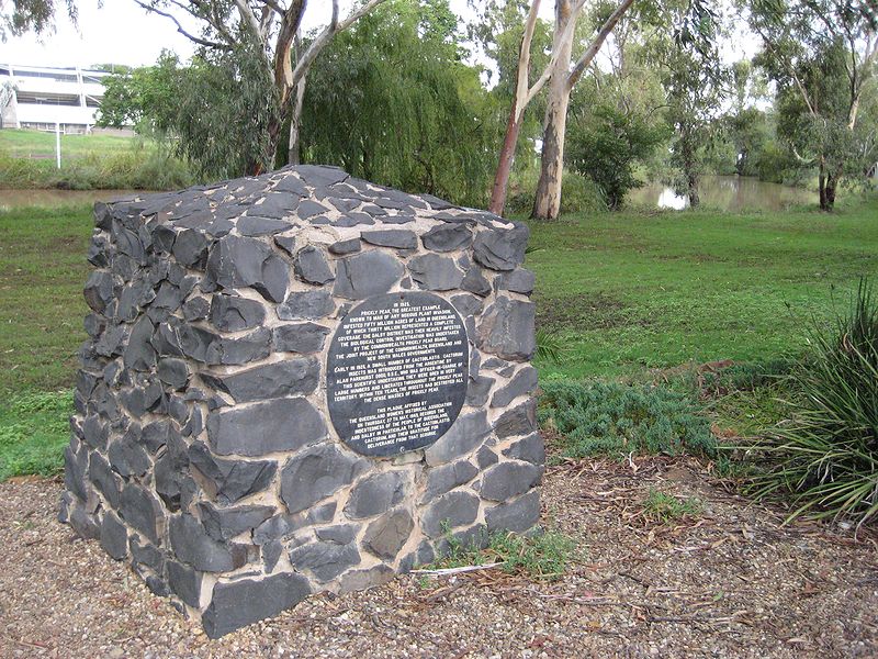 File:Cactoblastis monument, Dalby, Queensland, Australia.jpg