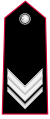 Distintivo di grado per controspallina di vicebrigadiere dell'Arma dei Carabinieri