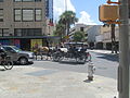 Carriage rides in downtown San Antonio