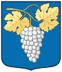 Wappen von Szin