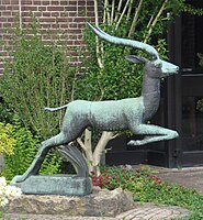 Gazelle, Dieren