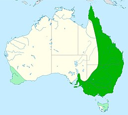 Поширення в Австралії