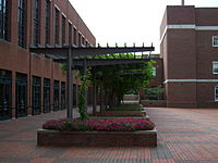 The engineering plaza. Engineering plaza.jpg