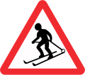 Skiers crossing