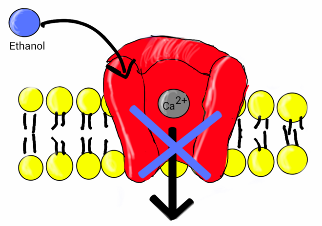 Tipepidine Adhd Diet Foods