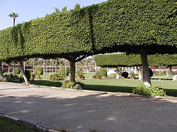 Jardim francês